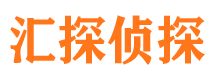 宁明侦探公司